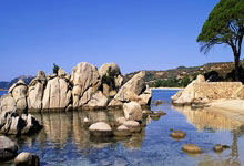 柏林联合对阵奥格斯堡，这场德甲较量最终比分会是多少？